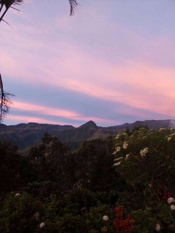 Finca Cafetera El Coral 하르딘 외부 사진